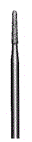 tr30.gif (2433 bytes)